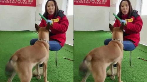 讯狗视频在线观看,讯狗视频带你在线观影新体验 第2张 讯狗视频在线观看,讯狗视频带你在线观影新体验 第2张